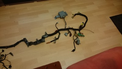 DSC_0117.JPG