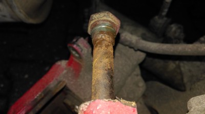 IMAG0169.jpg