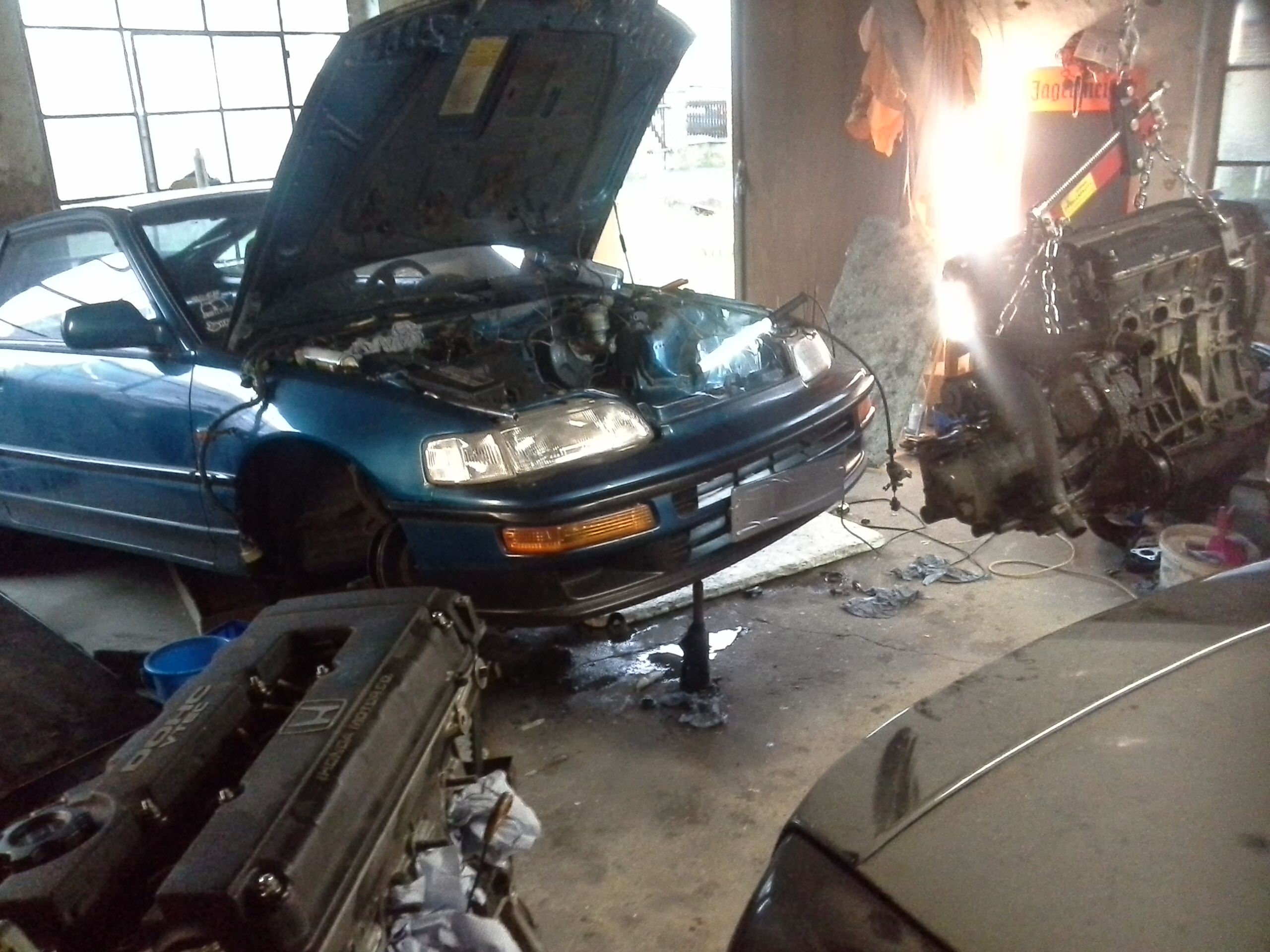 20160209_123242.jpg