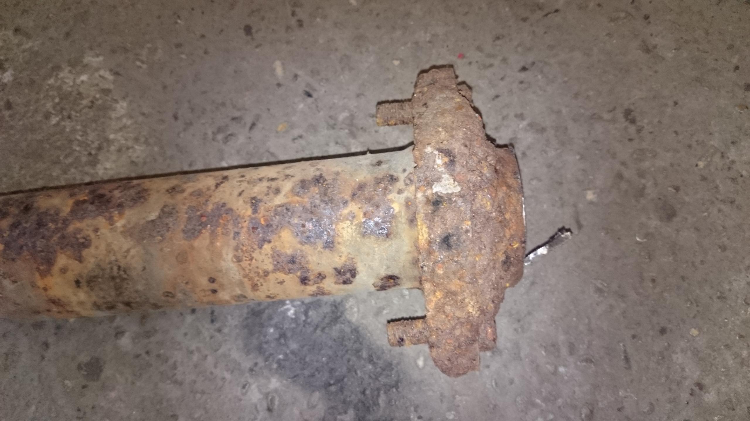 msd2.jpg