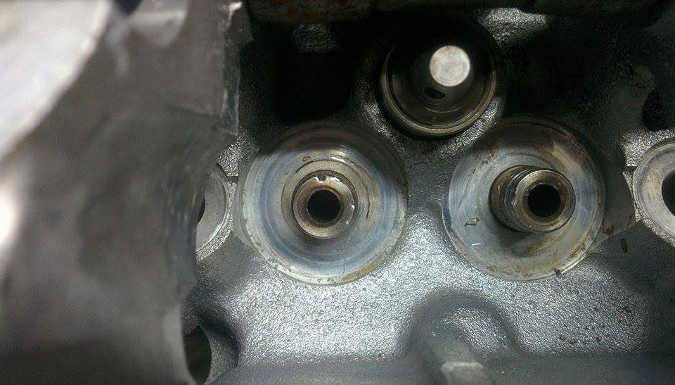 received_940114696081157.jpeg