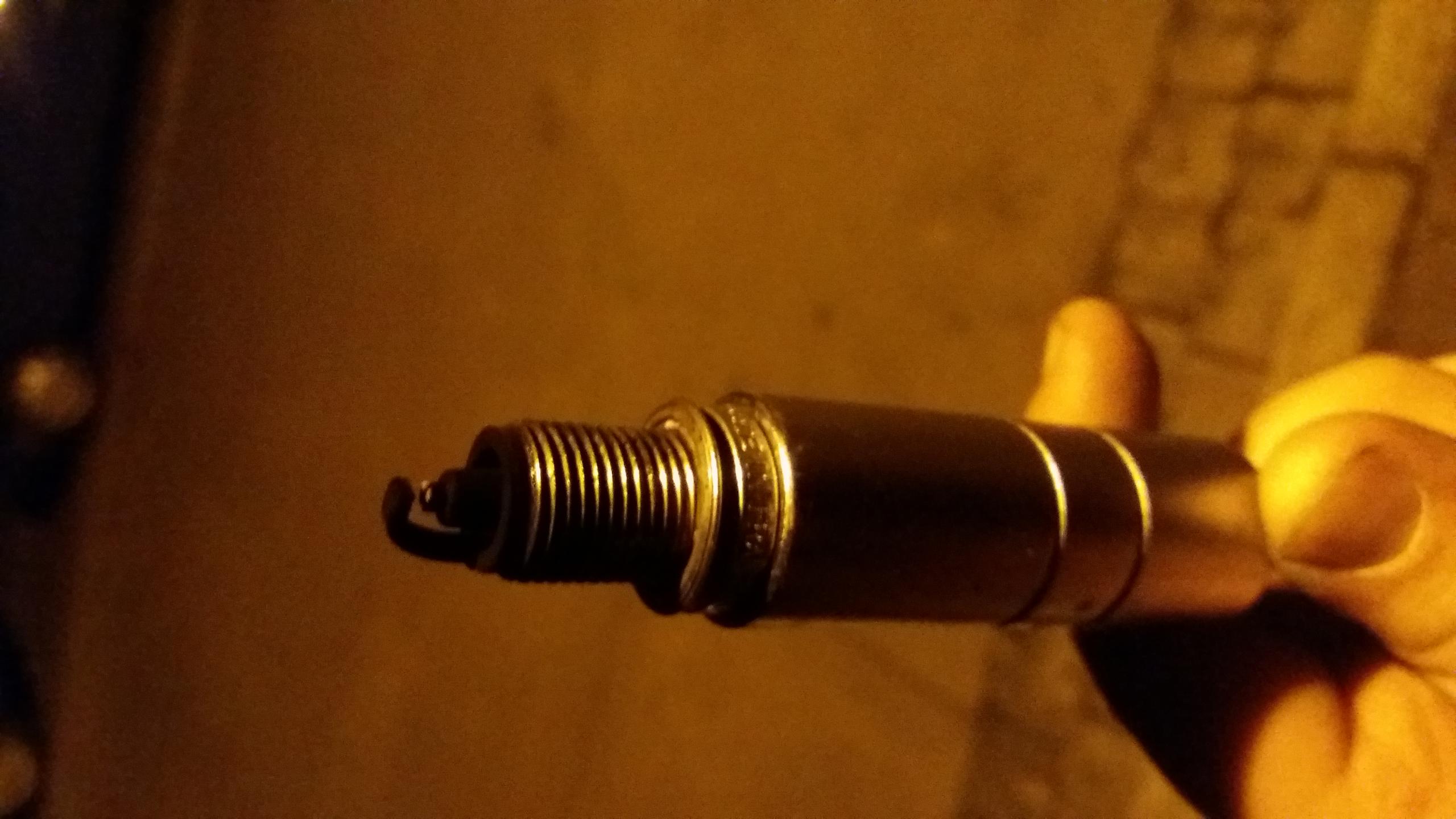 tmp_10574-20160216_223942-1808239176.jpg