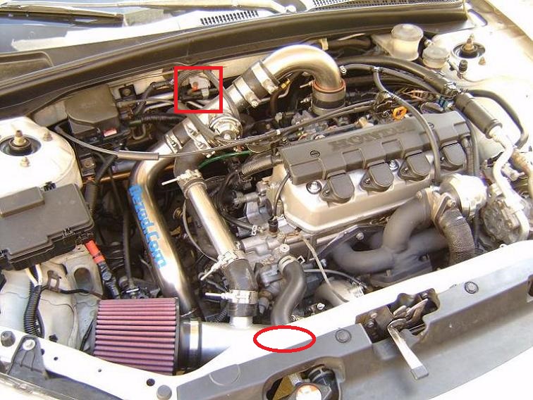S5300018.JPG