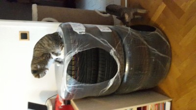20160322_114705.jpg