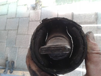 20160330_141309.jpg