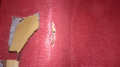 DSC_6662.JPG