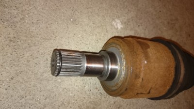 DSC_6773.JPG