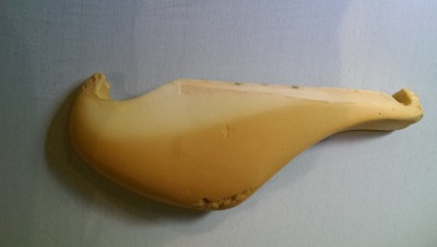 IMAG2318.jpg