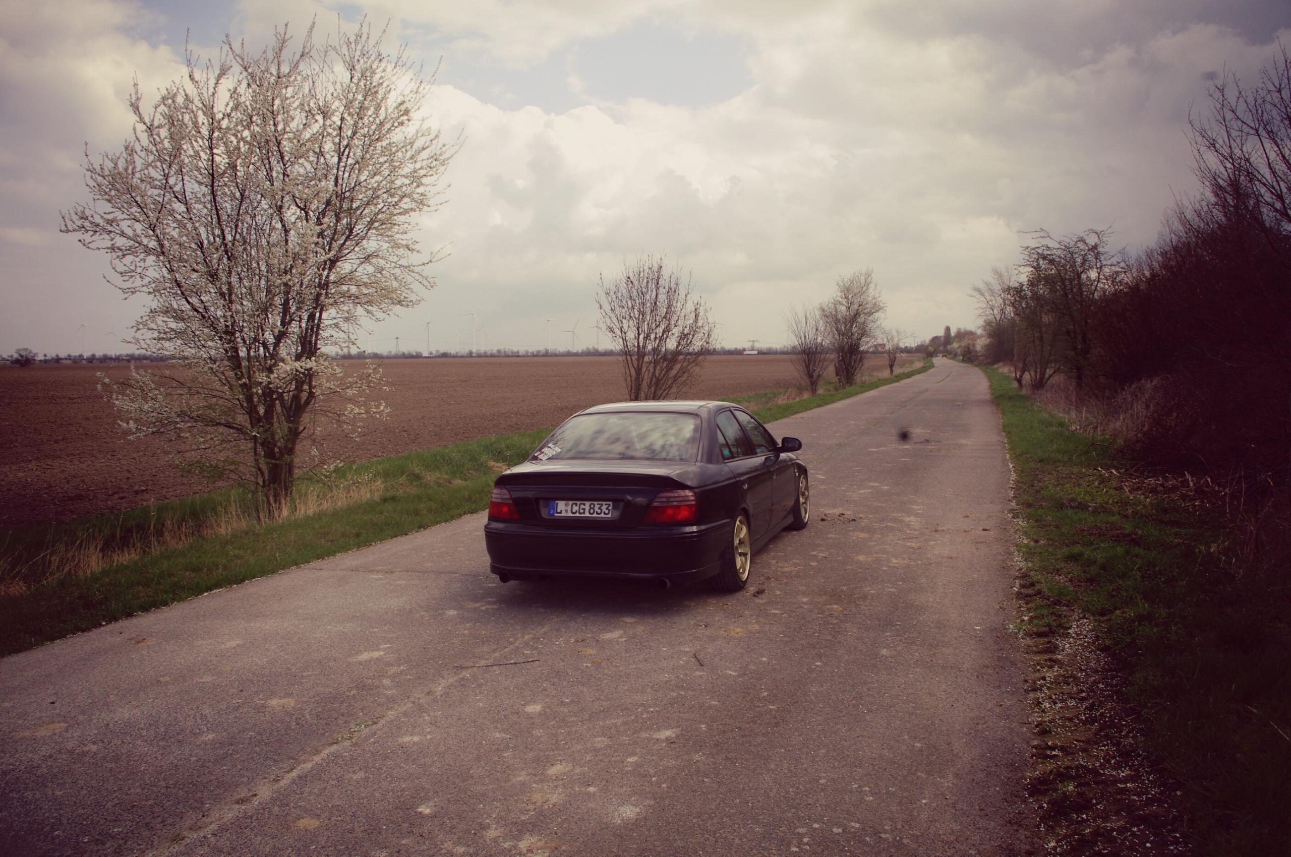 PicsArt_04-06-12.08.45.jpg