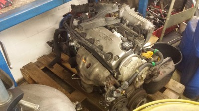 D16Z6.jpg
