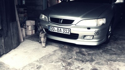 IMG_20160417_142701.jpg
