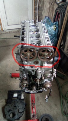 IMG_20160419_080758_067.jpg