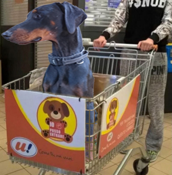 Unbenannt-1 Kopiee.jpg