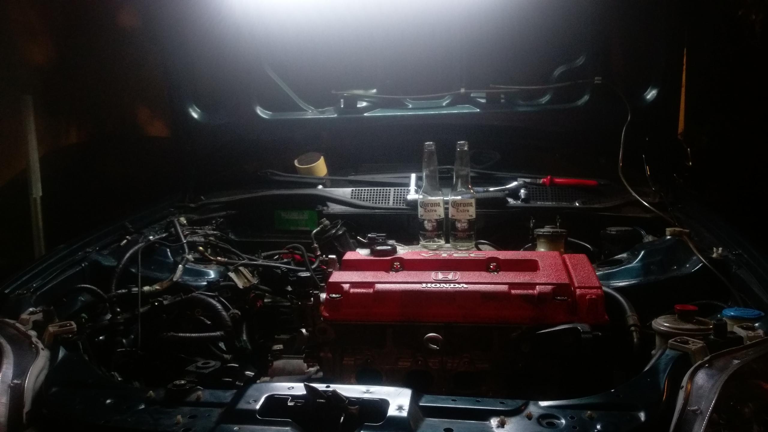 IMAG0067.jpg