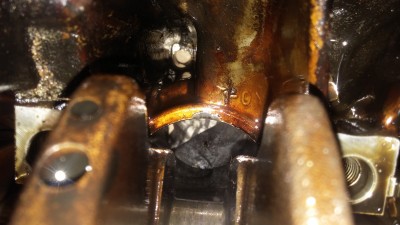 20160627_142040.jpg