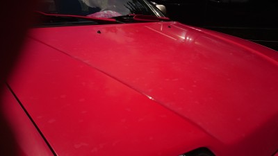 DSC_0030.JPG