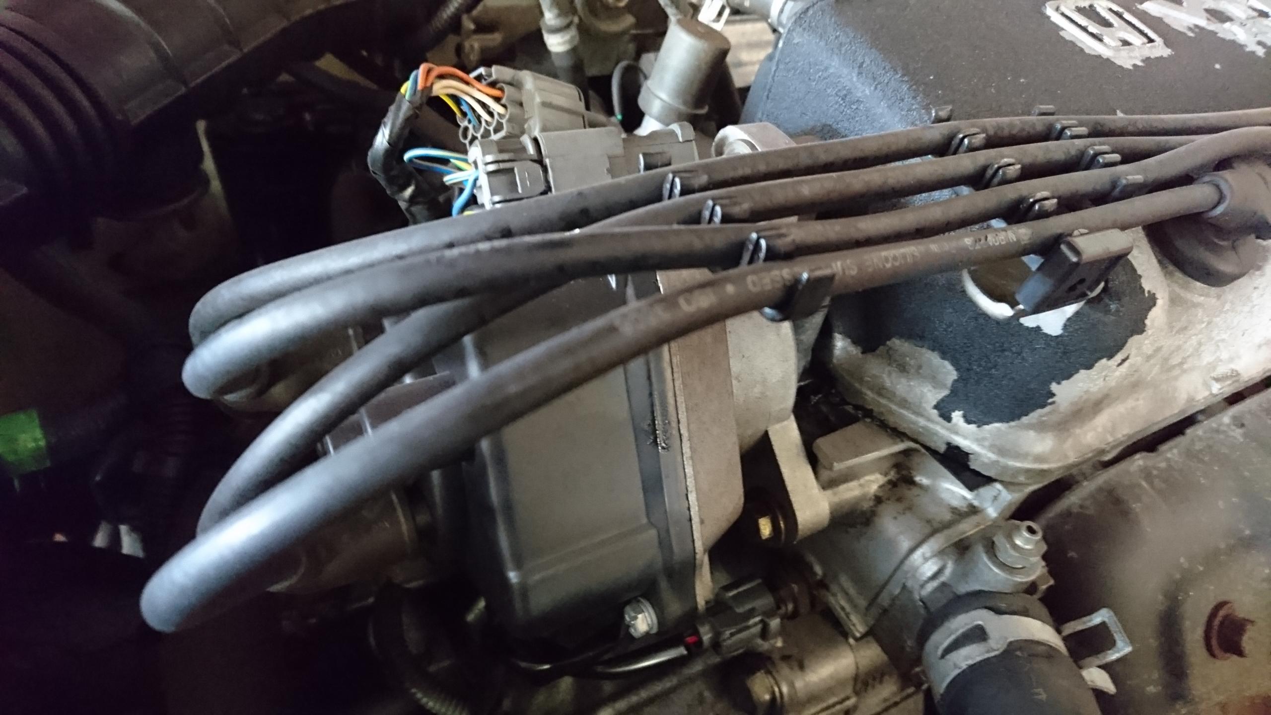 tmp_23215-DSC_21181775547443.JPG