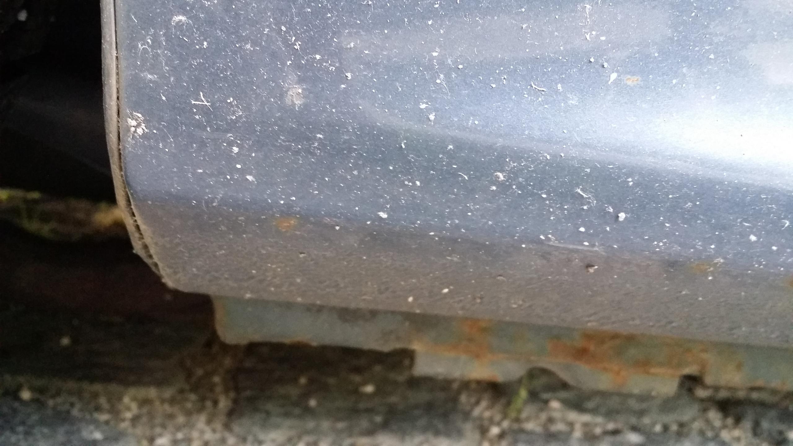 20160705_201054.jpg