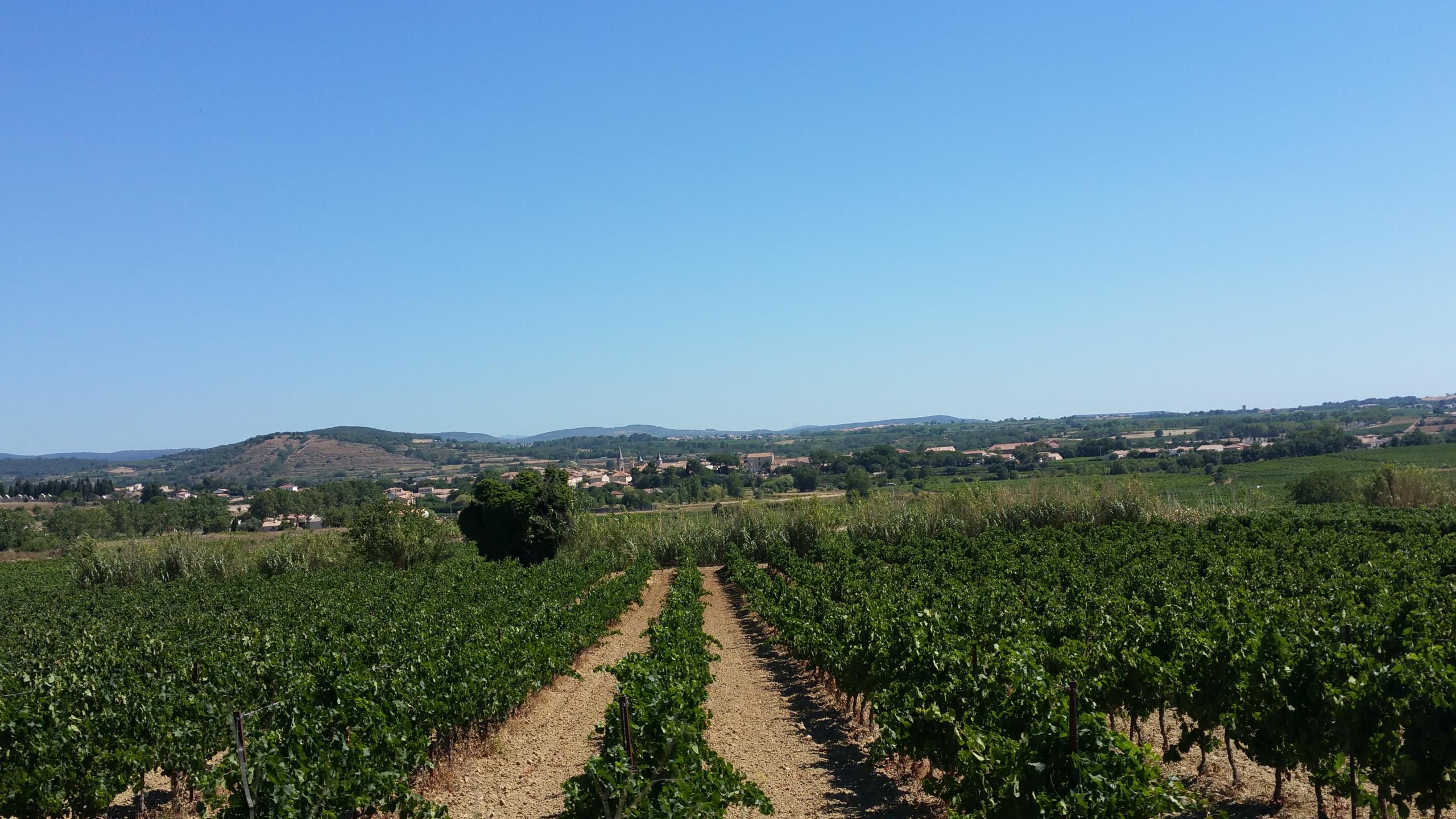 20160719_113426.jpg