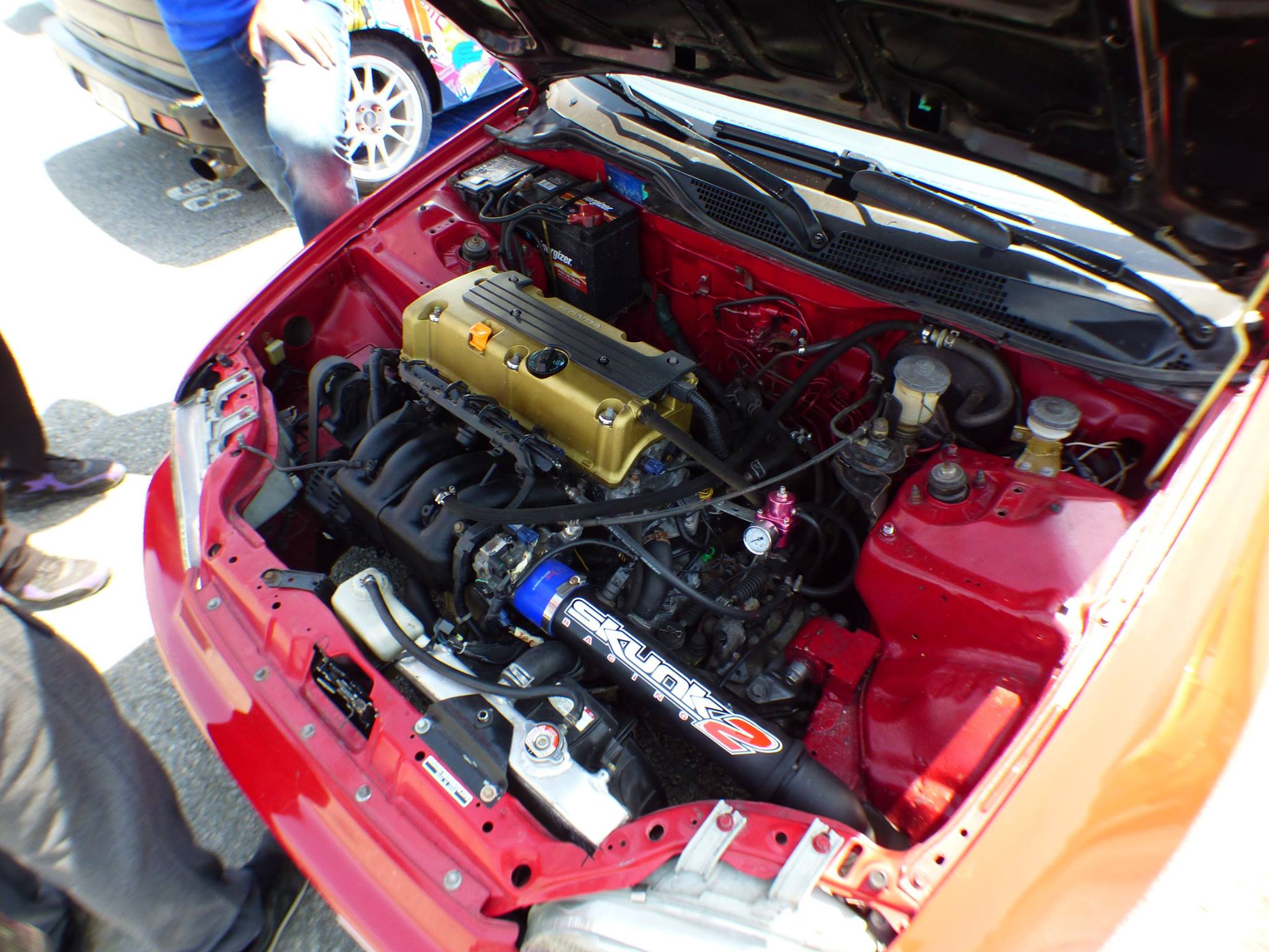 k20eggg.jpg