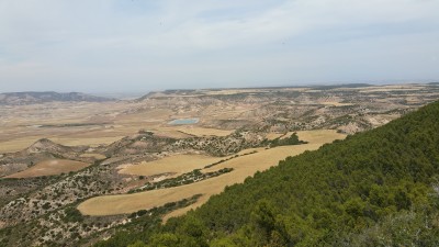 20160721_152748.jpg