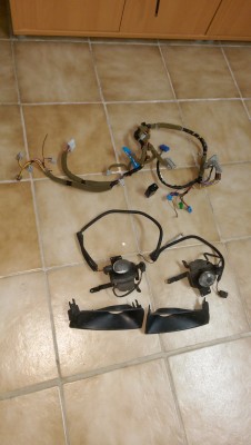 IMAG0487.jpg