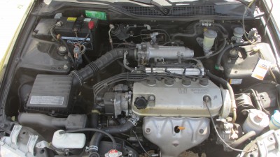 IMG_4240.JPG