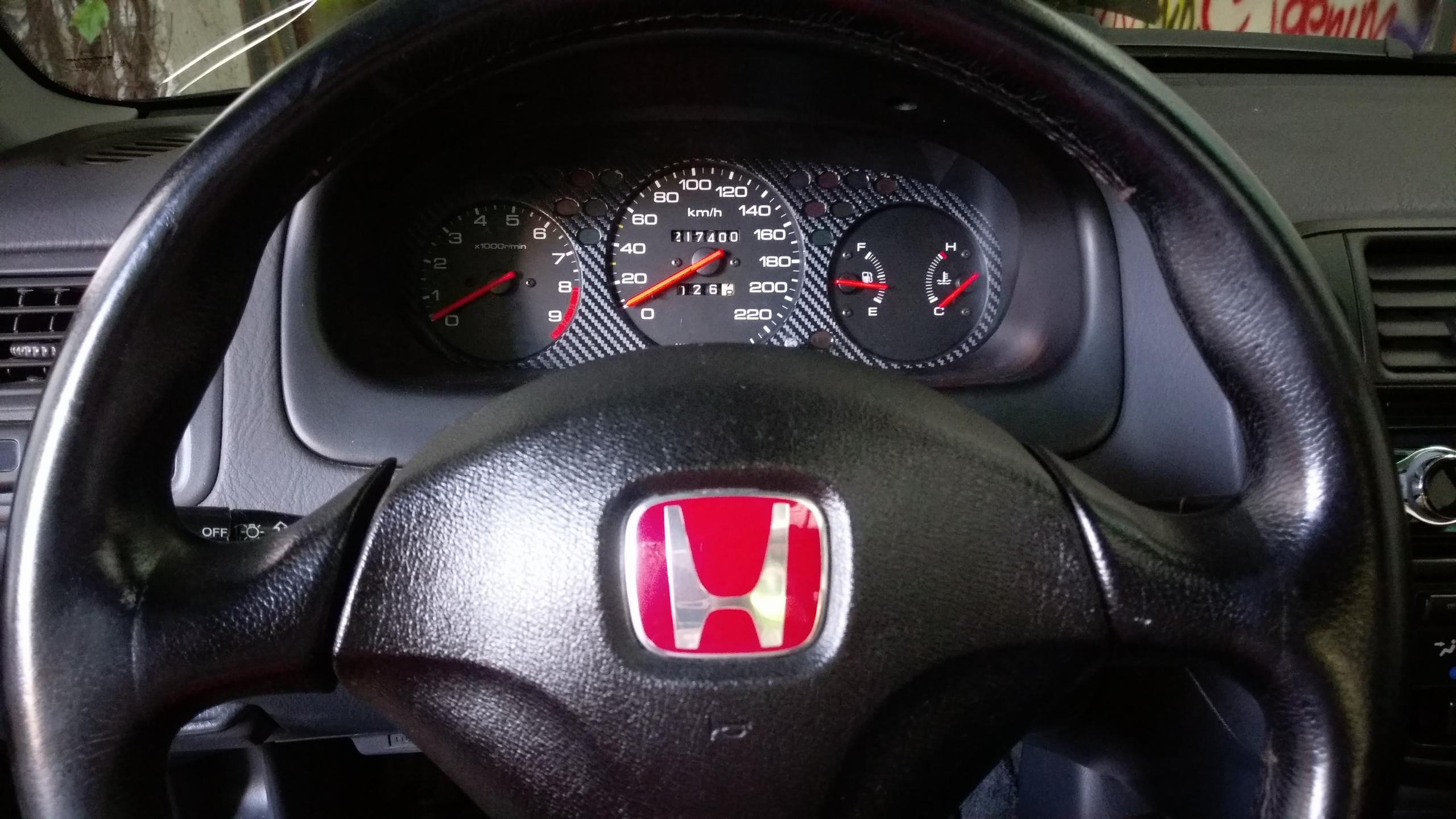 IMAG0205.jpg
