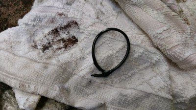 IMAG0198.jpg