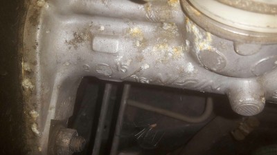 IMG-20160829-WA0007.jpg