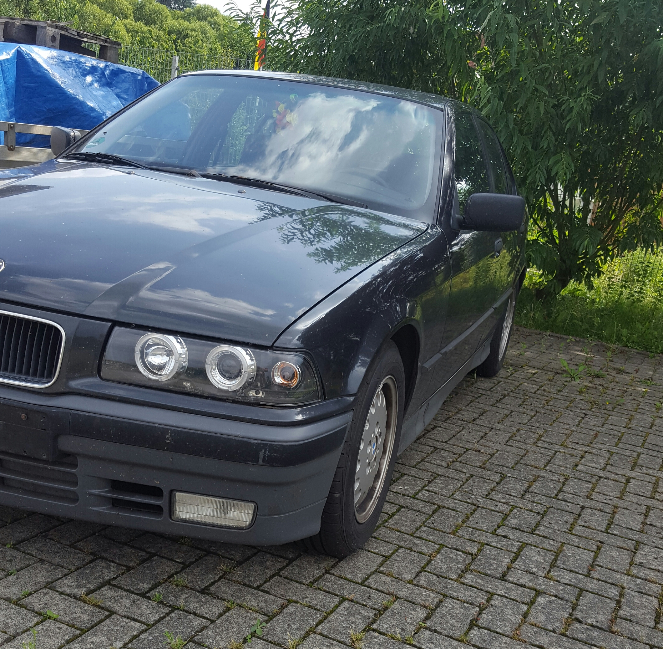 20160907_080948.jpg