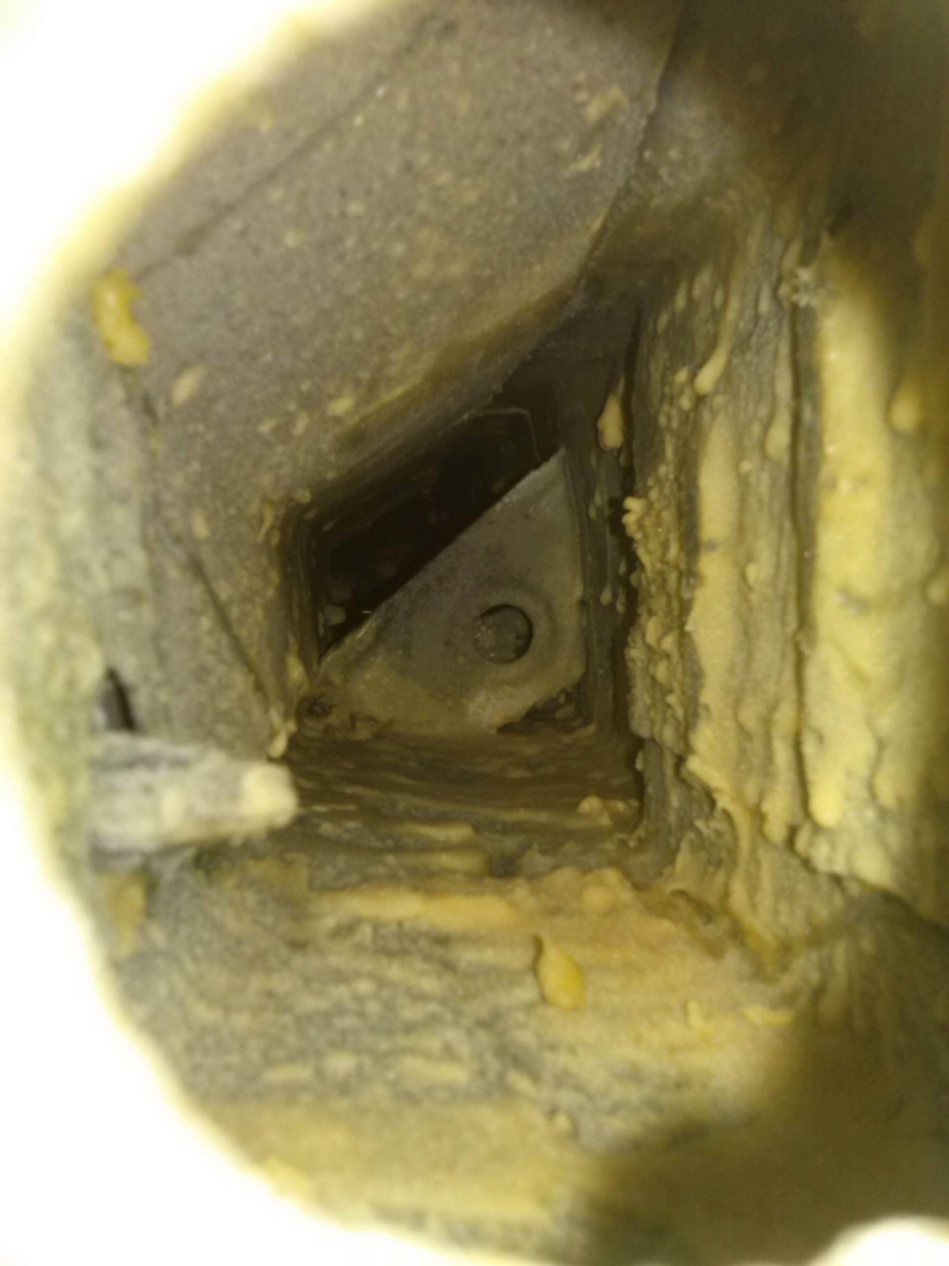 CAM00612.jpg