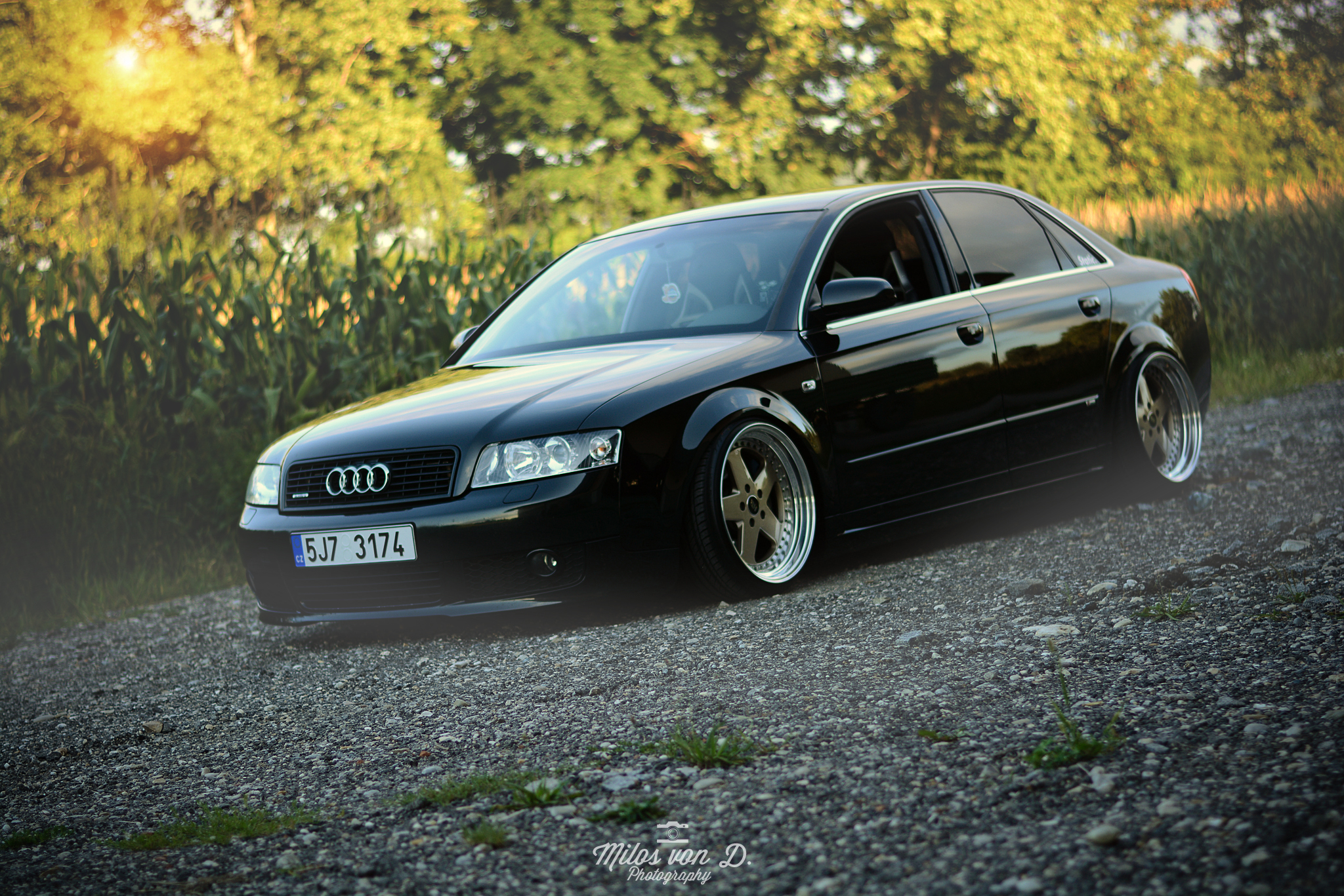 D71_8880.jpg