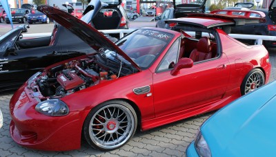 t_kopieren_von_img0350gf_1295811821.jpg