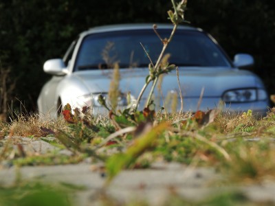 DSCN4315.JPG