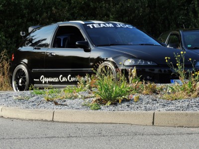 DSCN4317.JPG
