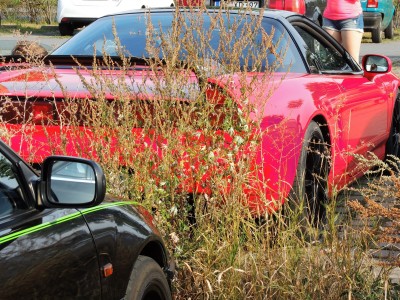 DSCN4320.JPG