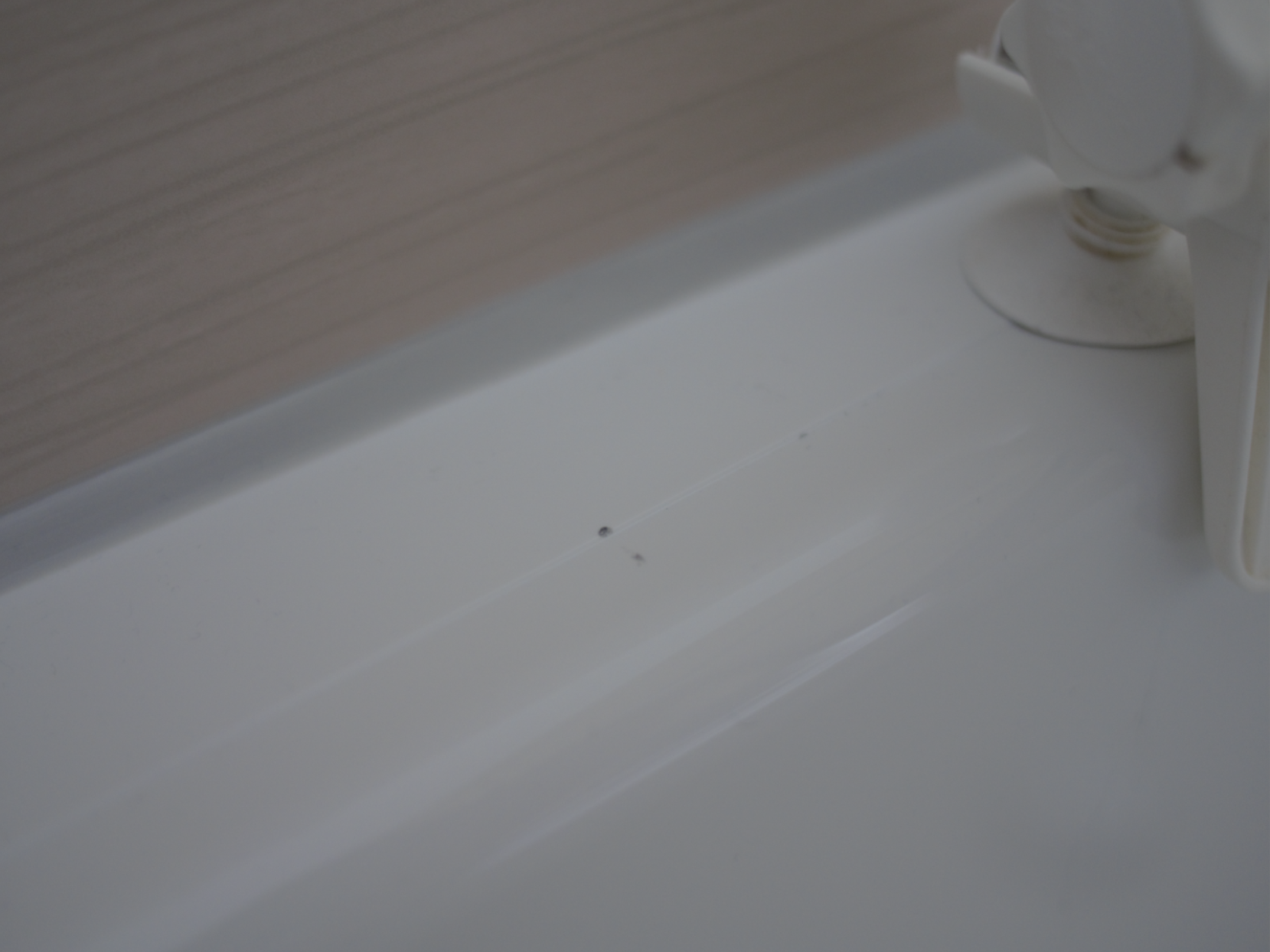 2016-10-11 13_17_42-P1040816 (2).RW2 - Fotogalerie.png