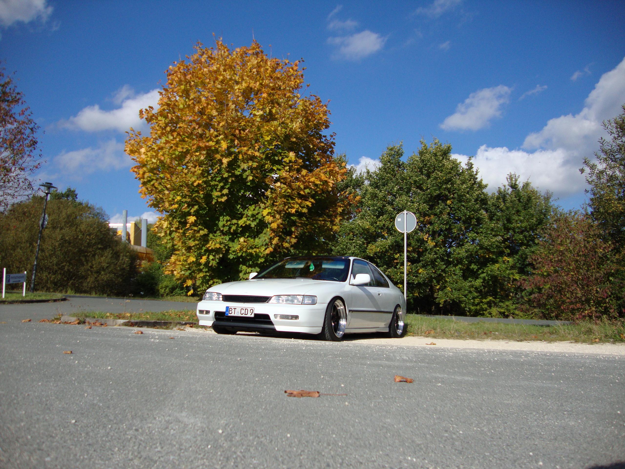 DSC00519.JPG