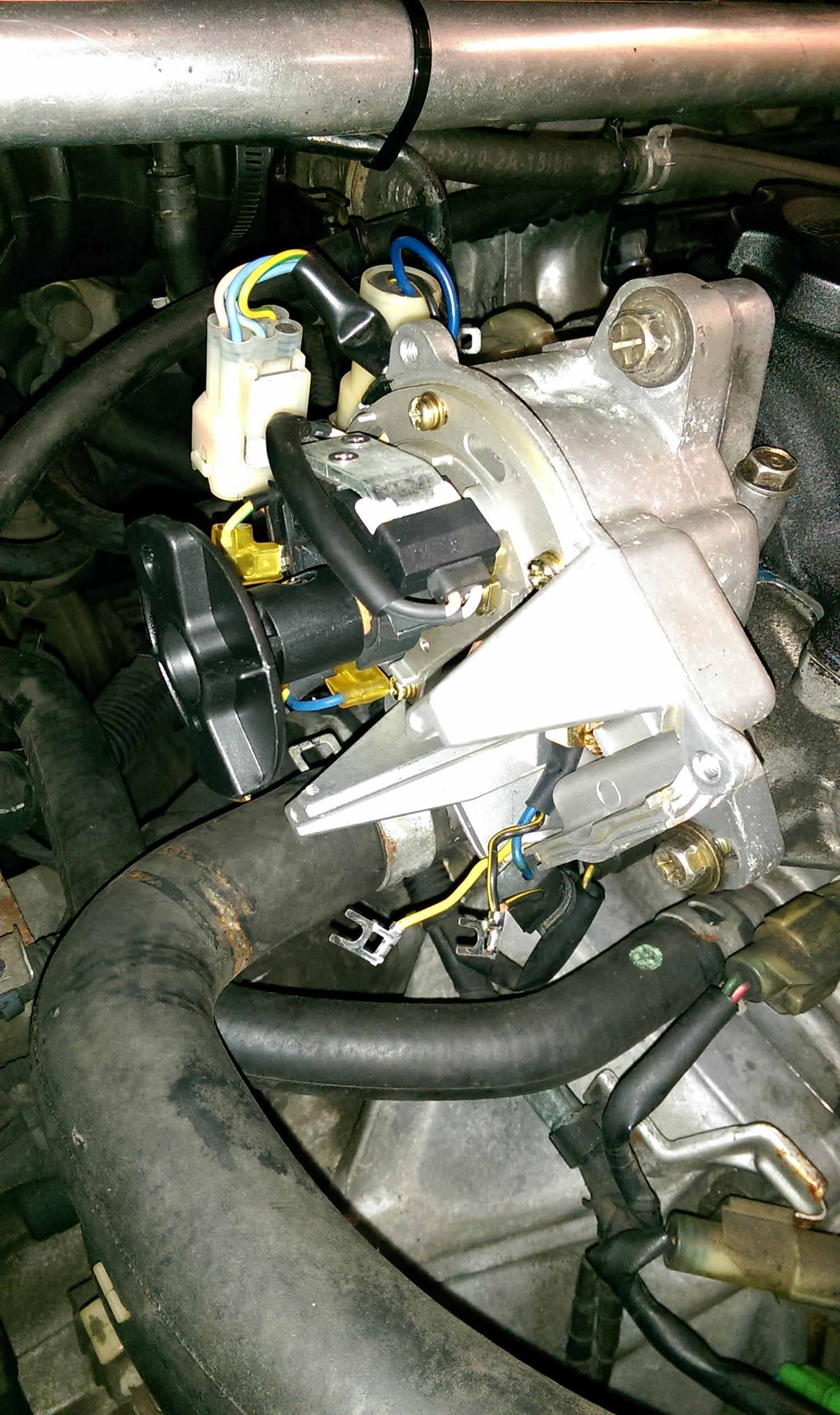 IMAG0243.jpg