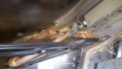 20161030_132513.jpg
