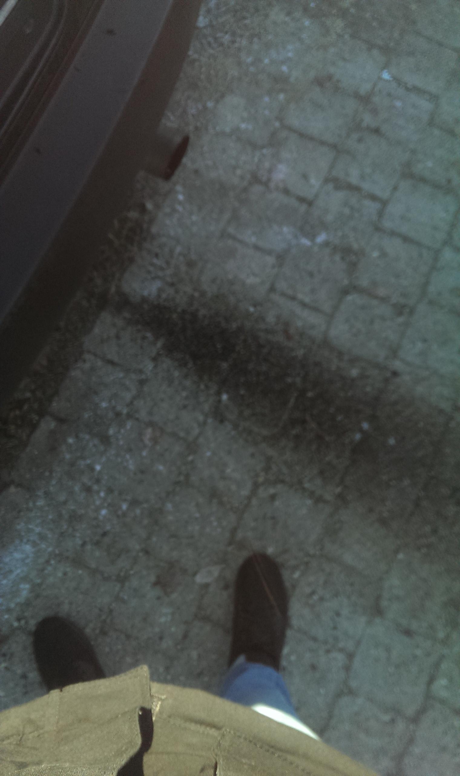 IMAG2712.jpg