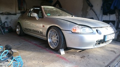 DSC_8667.JPG