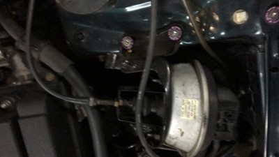 IMG_4968.JPG