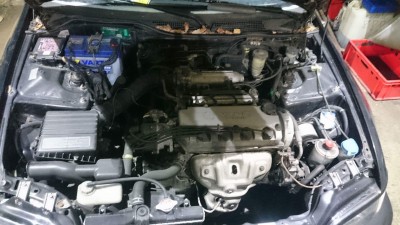received_374326086240451.jpeg