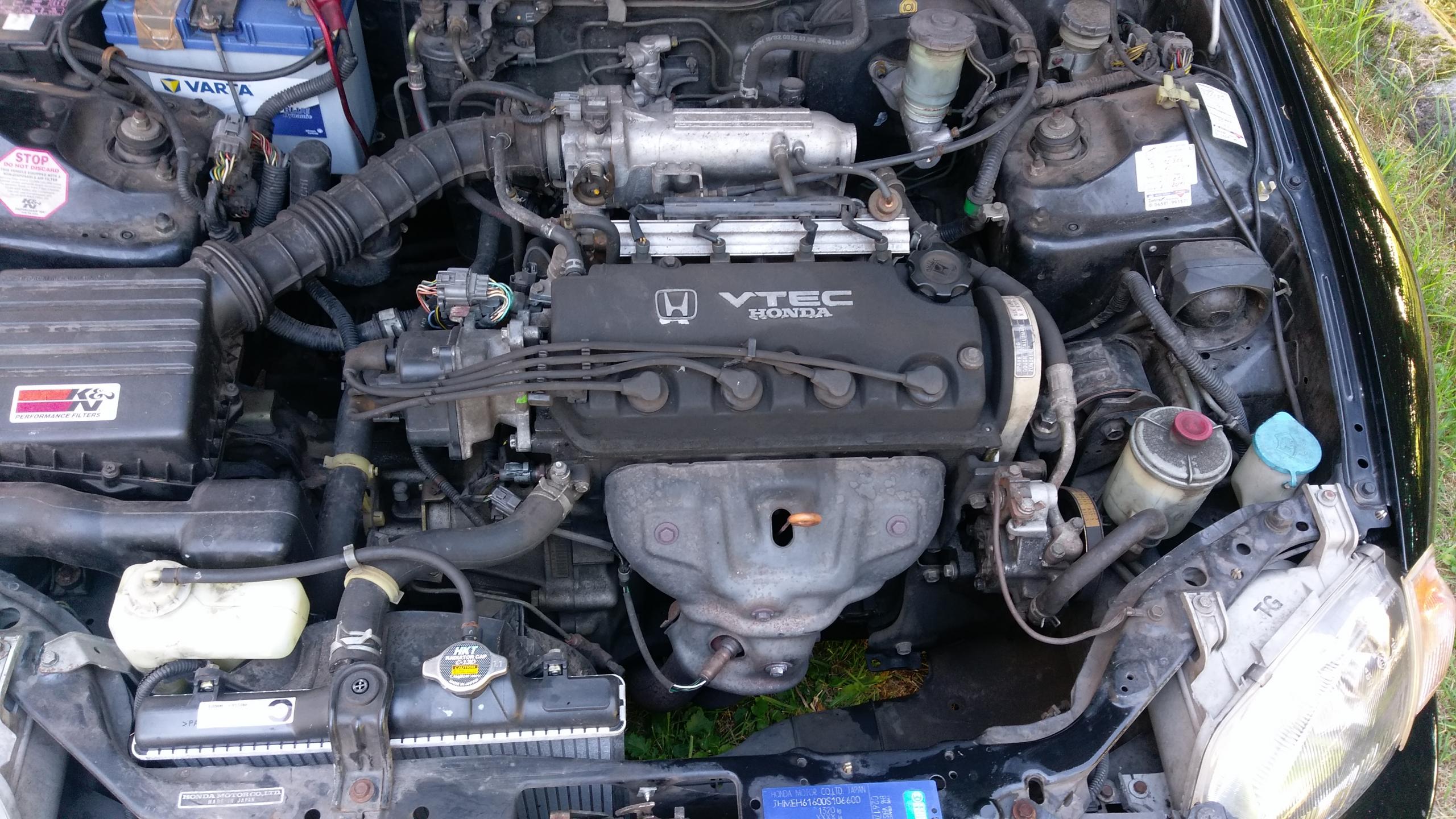 IMAG0581.jpg