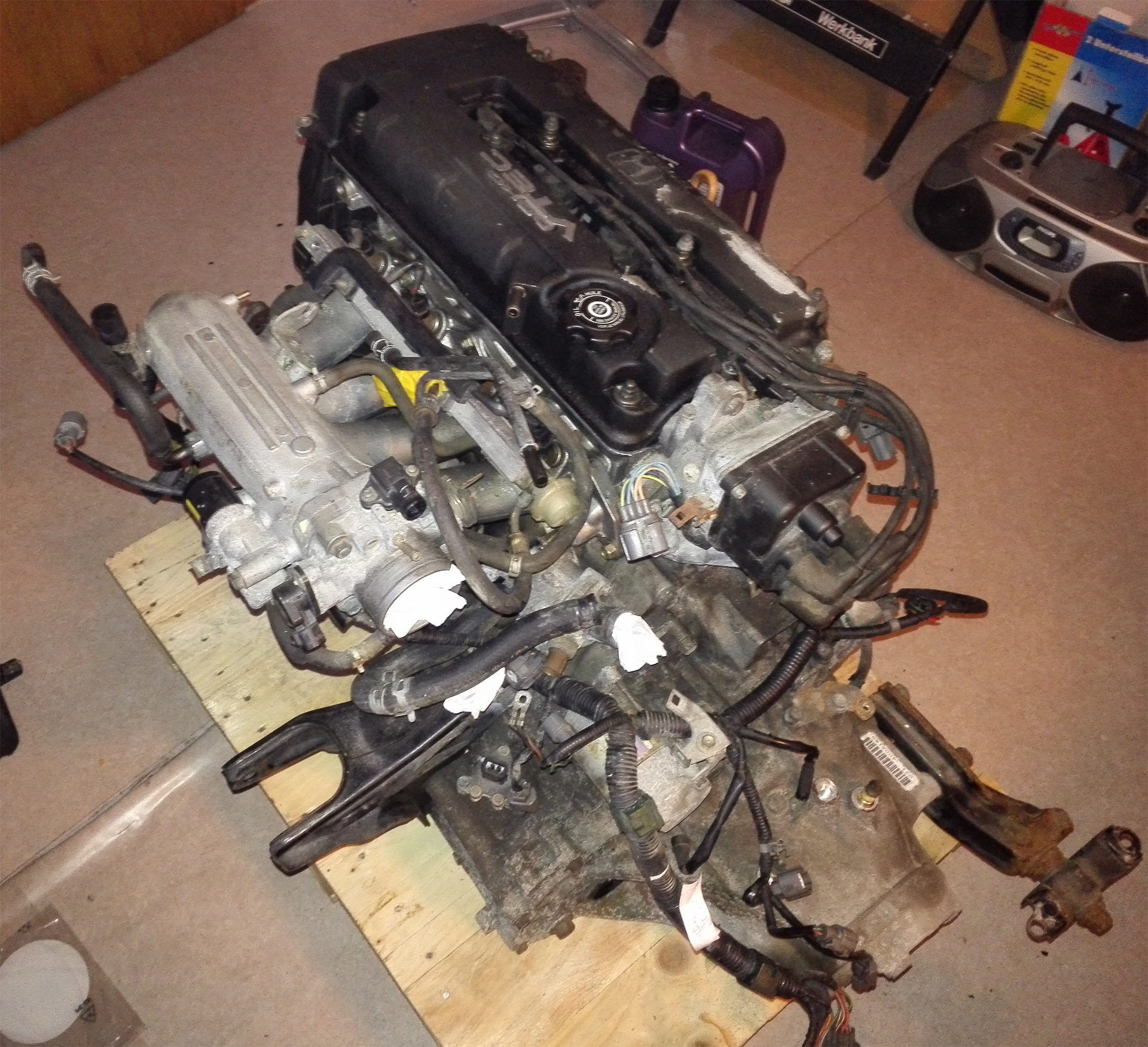Motor hinten.jpg