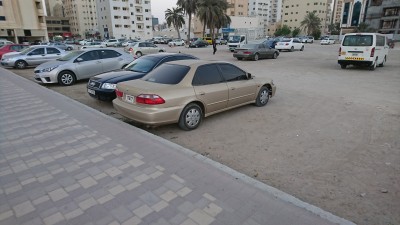 DSC_0791.JPG