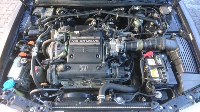DSC_2416[1].JPG