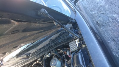 DSC_2417[1].JPG
